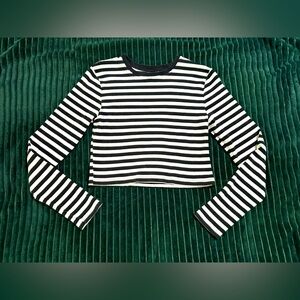 Wilde fable Crop Top